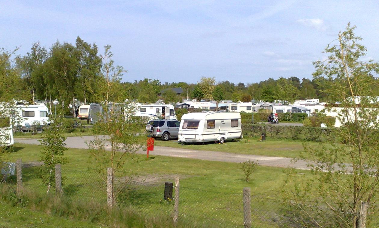 Campingplatz in Zingst