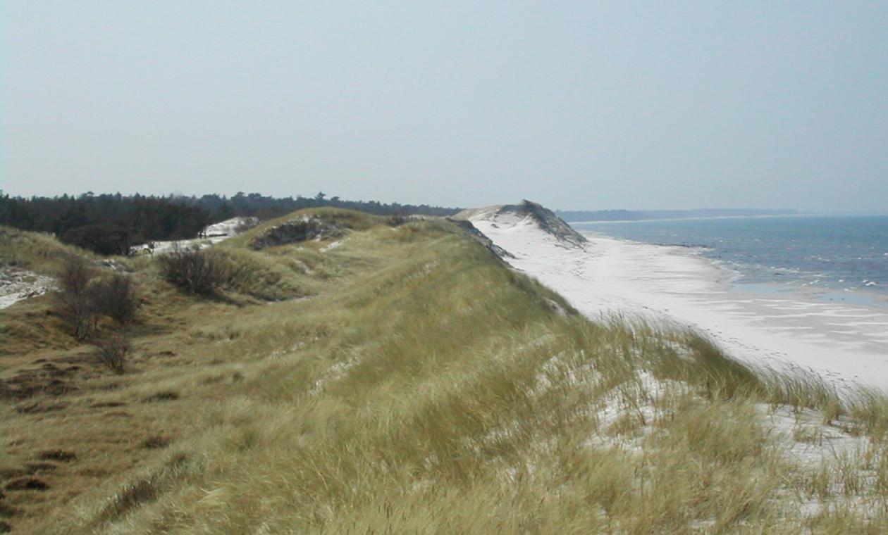 Pramort - eine unberührte Ostseeküste im Nationalpark