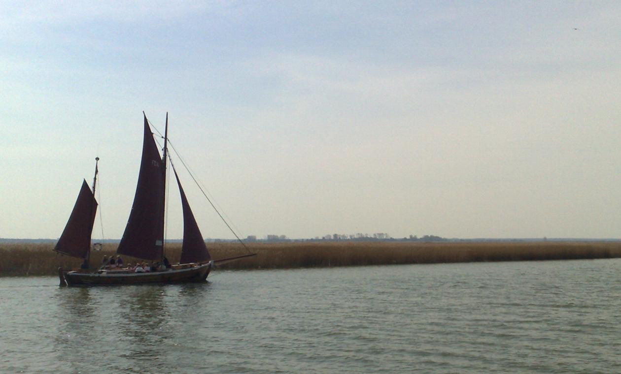 Segelboot auf den Boddengewässern in Zingst