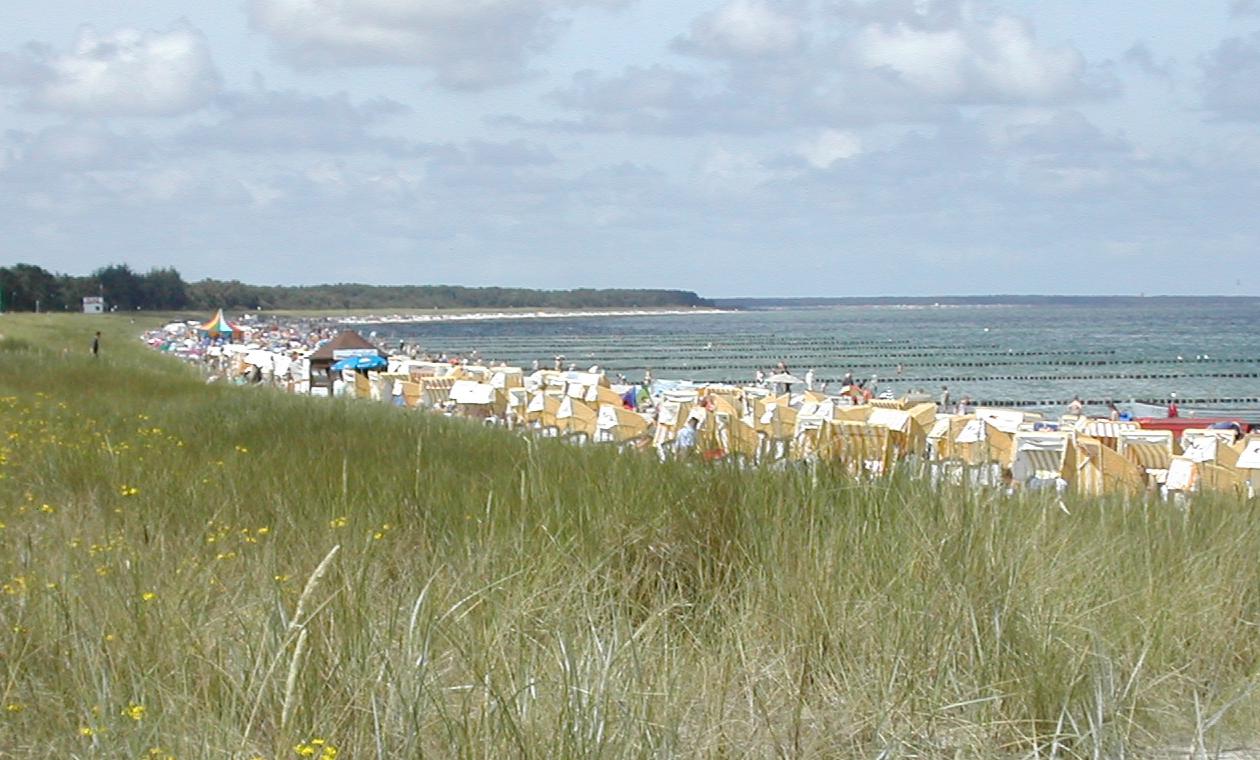 Strandblick über die Dünen im Ostseebad Zingst