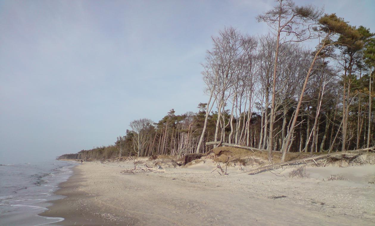 Weststrand im Ostseebad Prerow